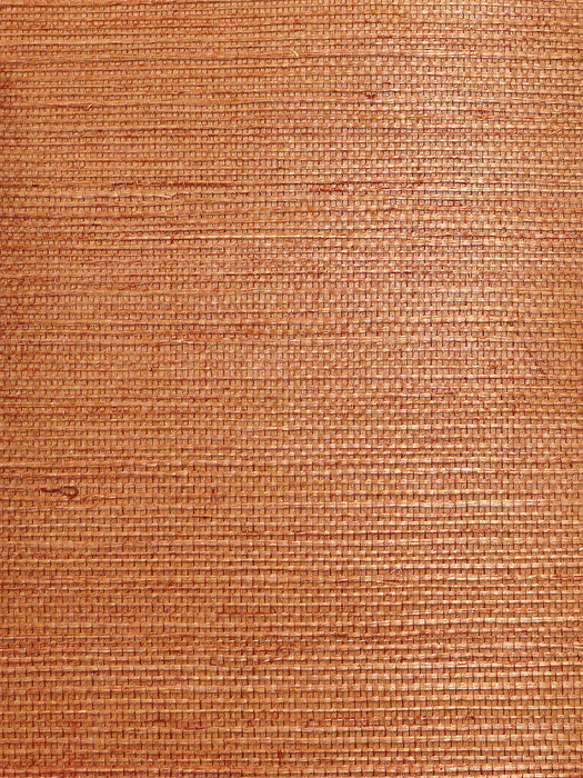 Scalamandre Natural Sisal Nutmeg Wallpaper Sample WTWSG5605