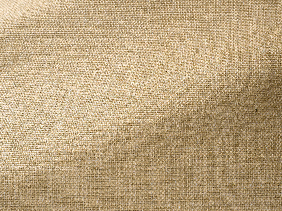 Pierre Frey Angkor Sable Fabric Sample F3521004