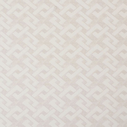 York Trellis a Go White Wallpaper Y6220505