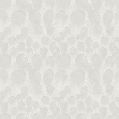 York Feathers White Wallpaper Y6230101