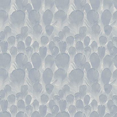 York Feathers Lavender Wallpaper Y6230103