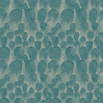 York Feathers Teal & Green Wallpaper Y6230105