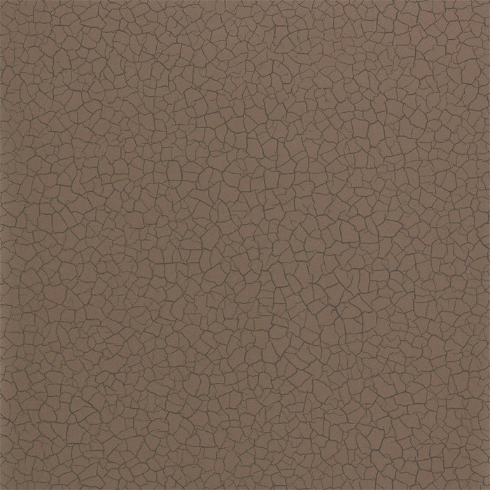 Zoffany Cracked Earth Bronze 312529 Wallpaper Sample ZAKA312529