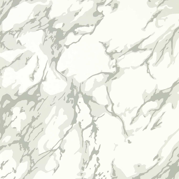 Zoffany French Marble Empire Grey/ Perfect White 313026 Wallpaper Sample ZCOT313026