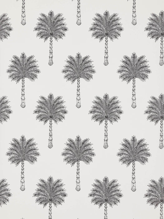 Pierre Frey Les Palmiers Noir/Blanc Wallpaper Sample FP755001