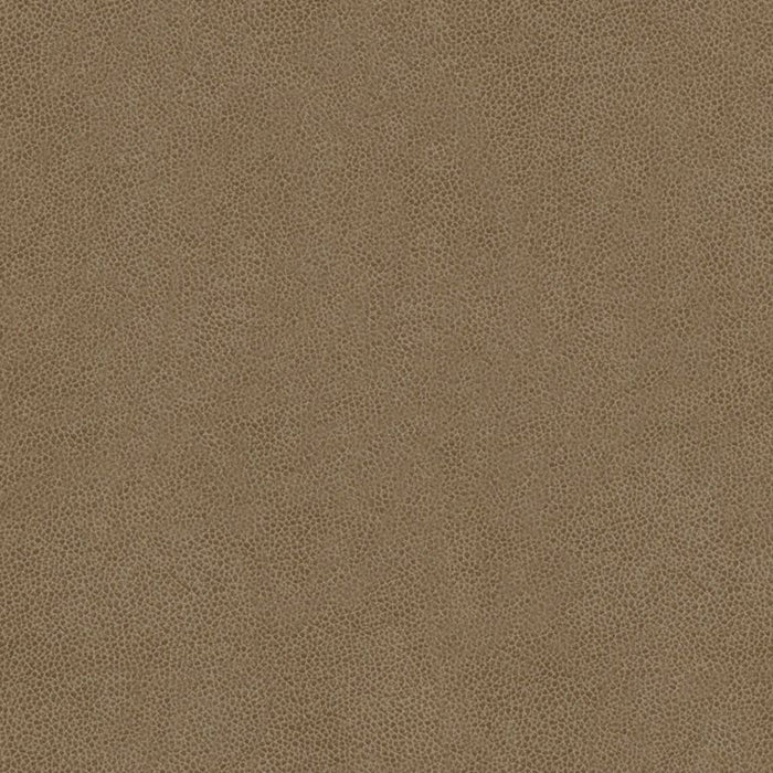 Kravet Contract Abilene Stone Fabric ABILENE.11.0