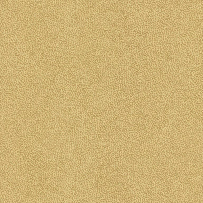 Kravet Contract Abilene Dune Fabric ABILENE.16.0