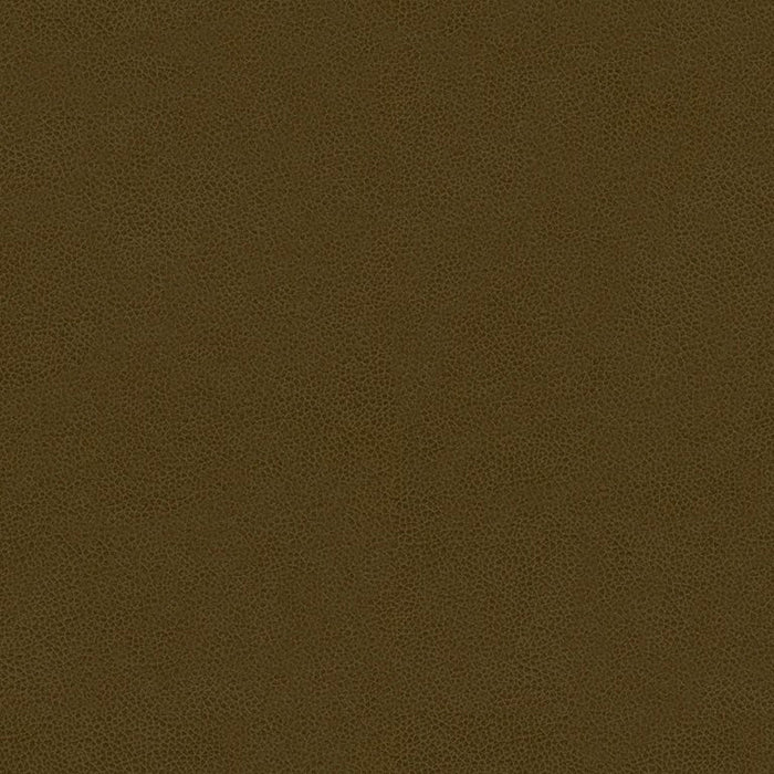 Kravet Contract Abilene Bark Fabric ABILENE.21.0