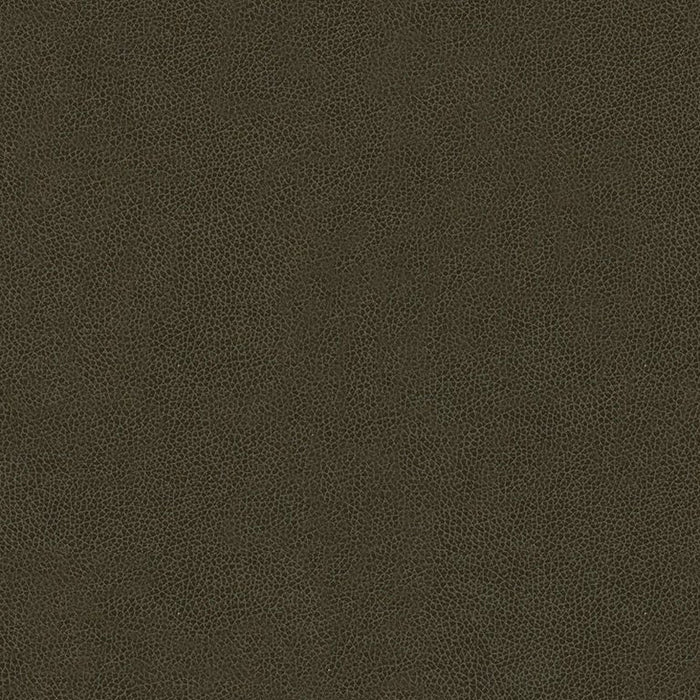 Kravet Contract Abilene Stallion Fabric ABILENE.66.0