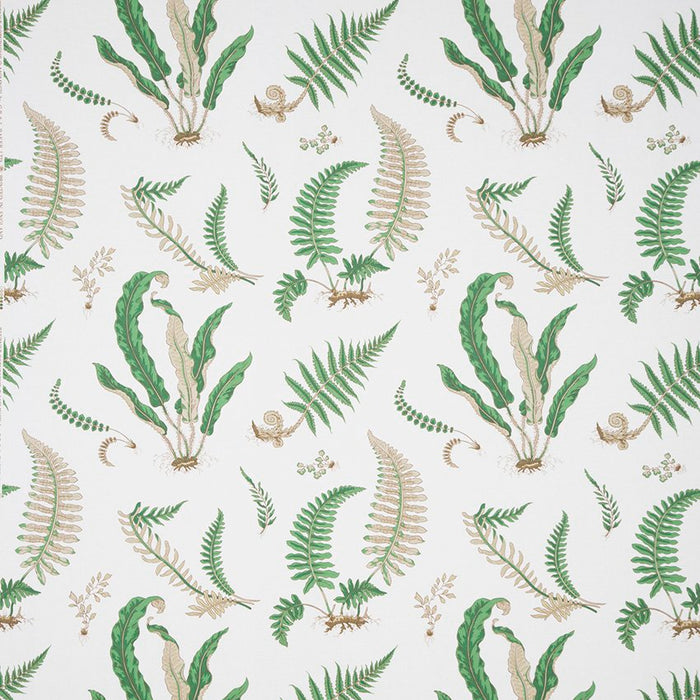 Lee Jofa Ferns Print Snow Fabric Sample B0860.01.0