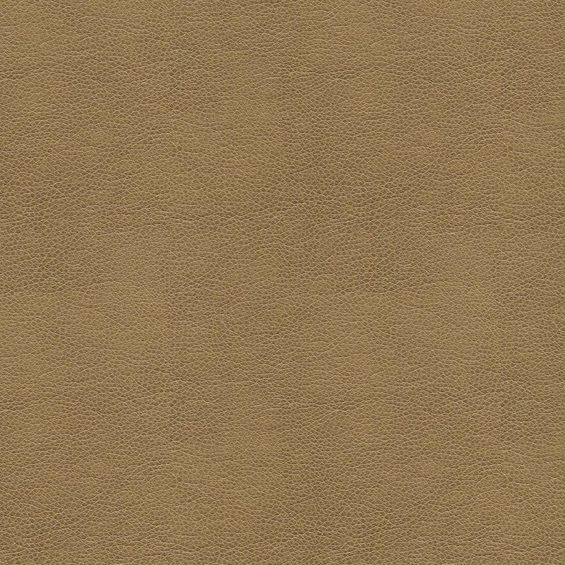 Kravet Contract Balara 106 Fabric BALARA.106.0