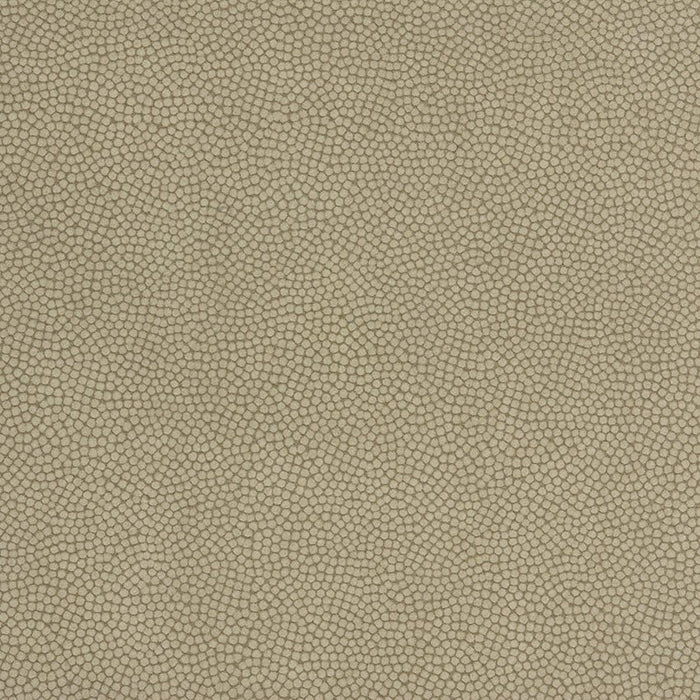 Kravet Couture Beautymark Greystone Fabric Sample BEAUTYMARK.106.0