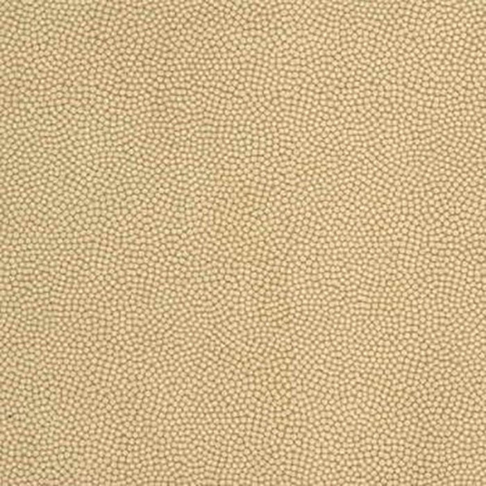 Kravet Couture Beautymark Sandstone Fabric Sample BEAUTYMARK.16.0