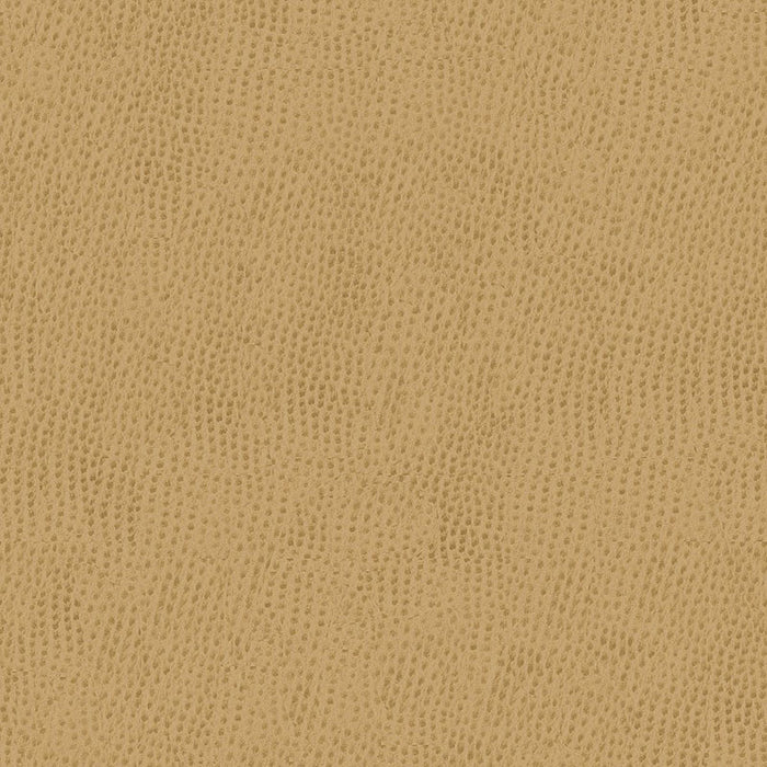 Kravet Contract Belus 1616 Fabric BELUS.1616.0