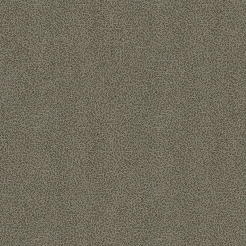 Kravet Contract Bess 11 Fabric Sample BESS.11.0