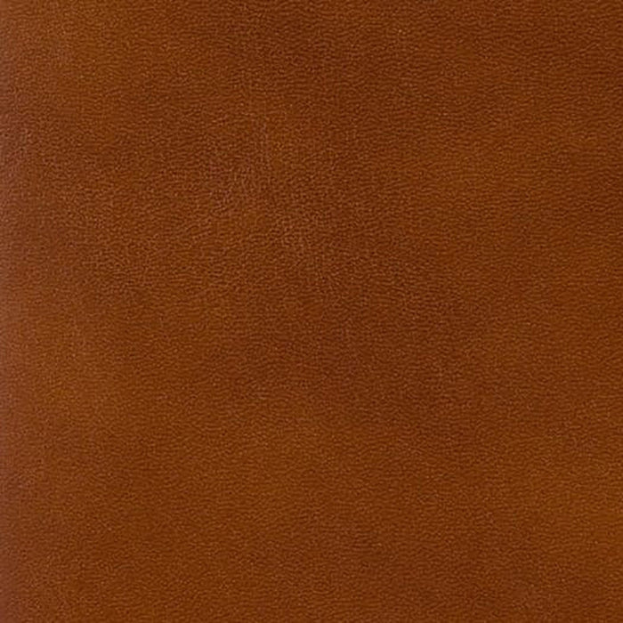 Brunschwig & Fils Old English Antiques Leather Brandy Fabric Sample BR-20009.839.0