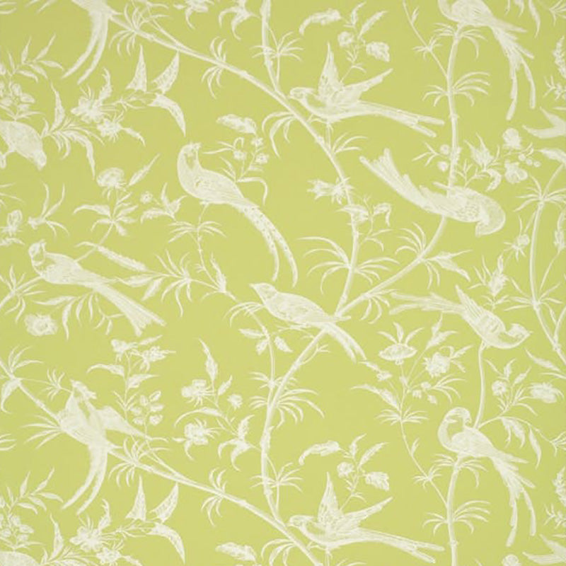 Brunschwig & Fils Bengali Pistachio Wallpaper Sample BR-69135.409.0