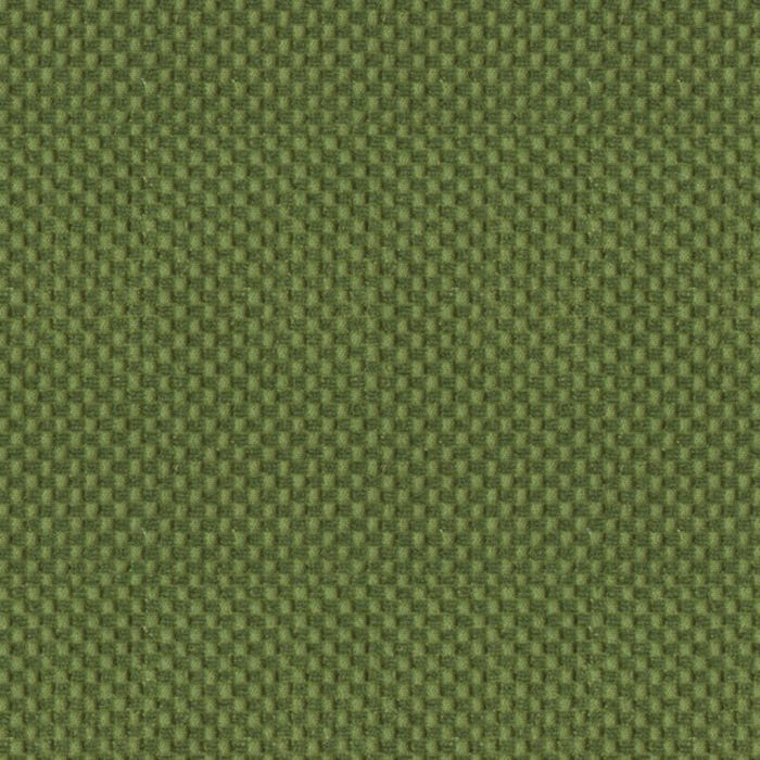 Brunschwig & Fils New Meymac Check Velvet Vert Fabric Sample BR-80991.H.0