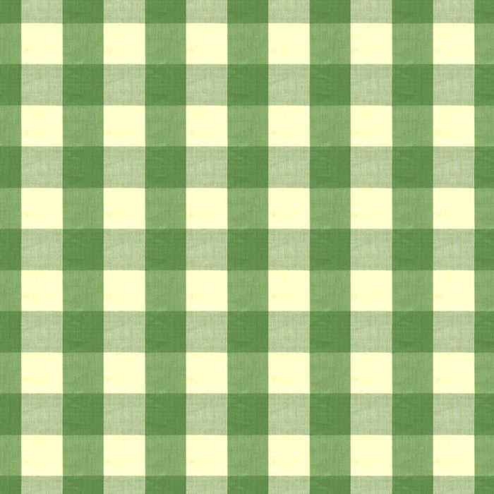 Brunschwig & Fils Exchequer Cotton Check Jade Fabric Sample BR-89725.464.0