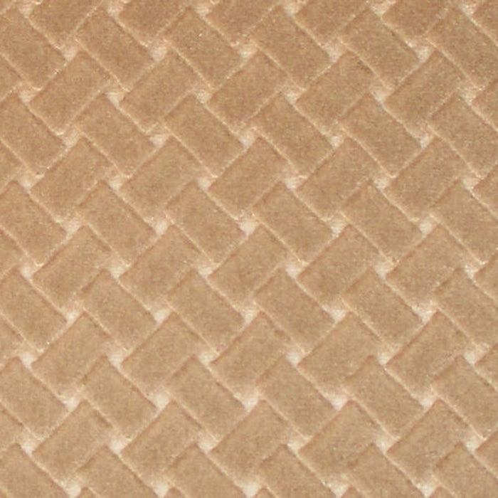 Colony Argo Canestrino Castoro Fabric Sample CL 000436433