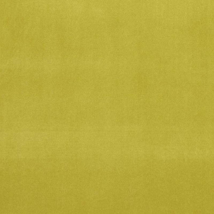 Clarke & Clarke Alvar Lime Fabric Sample F0753/78.CAC.0