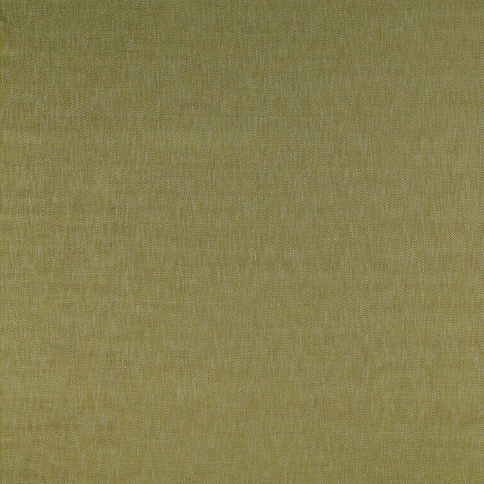 Gaston Y Daniela Alcala Verde Fabric Sample GDT5201.001.0