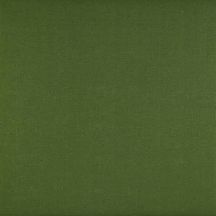 Gaston Y Daniela Recoletos Verde Fabric Sample GDT5203.022.0