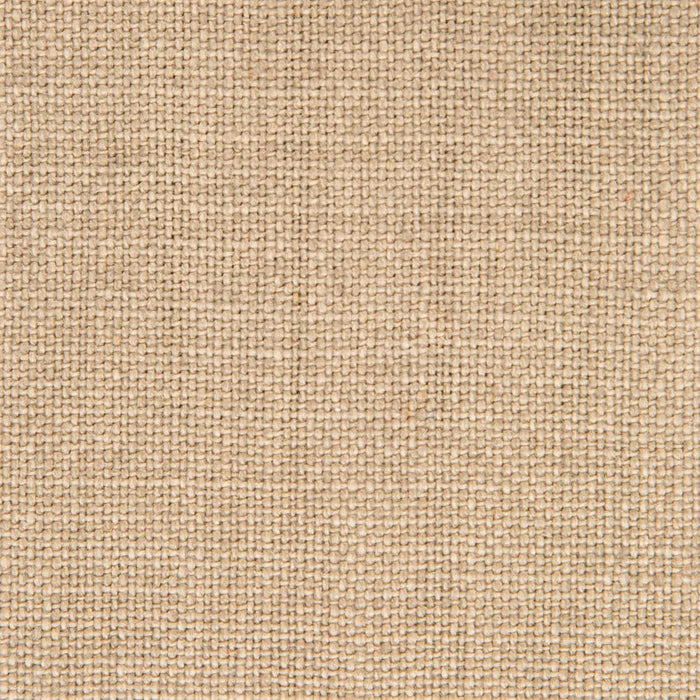 Gaston Y Daniela Nicaragua Vison Fabric Sample GDT5239.002.0