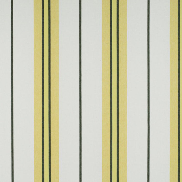 Gaston Y Daniela Burano Onyx/Amarillo Fabric Sample GDT5310.001.0