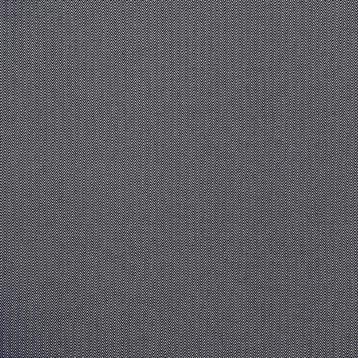 Gaston Y Daniela Donald Navy Fabric Sample GDT5384.3.0