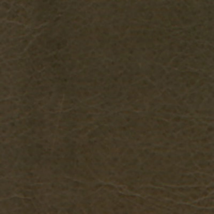 Jasper Palma Espresso Fabric Sample J101-01