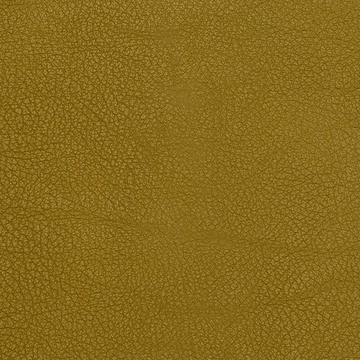 Jasper Derby Peridot Fabric Sample J102-11