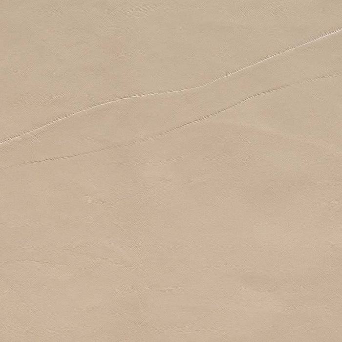 Jasper Evora Beige Fabric Sample J105-02