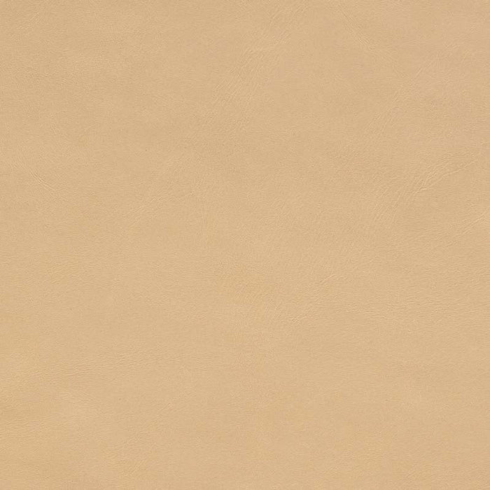 Jasper Evora Almond Fabric Sample J105-03