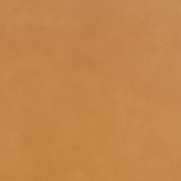 Jasper Evora Butterscotch Fabric Sample J105-04