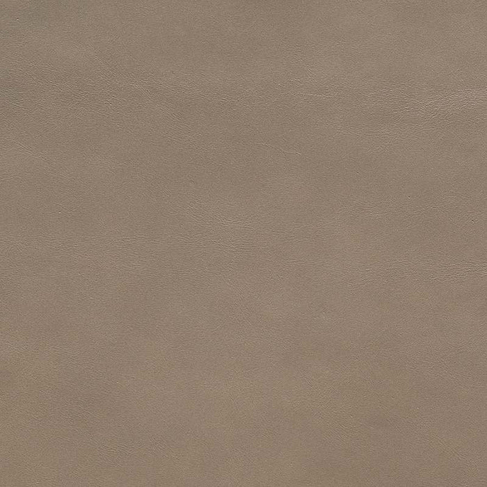 Jasper Evora Taupe Fabric Sample J105-05