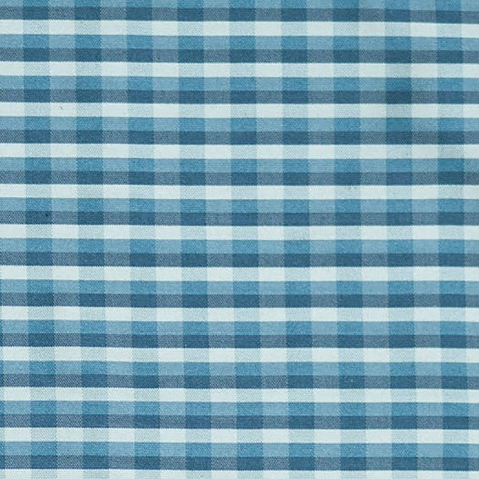 Brunschwig & Fils La Strada Check Bleuet Fabric Sample JAG-50008.5.0