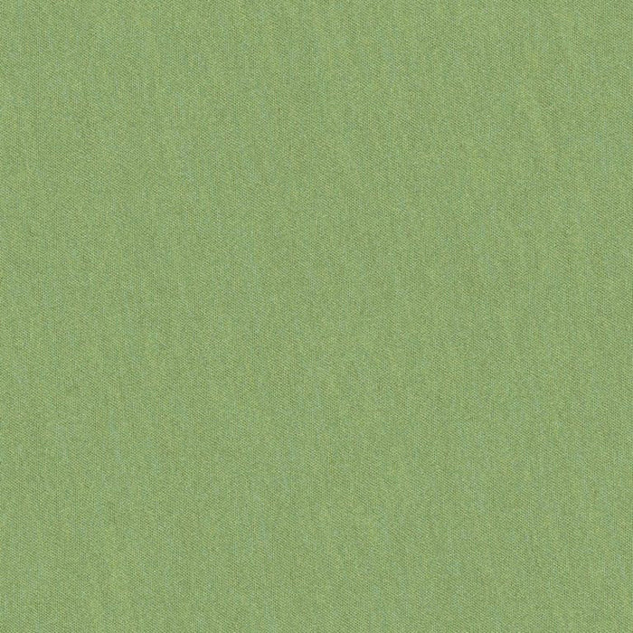 Brunschwig & Fils Shots Tarragon Fabric Sample JAG-50020.3003.0