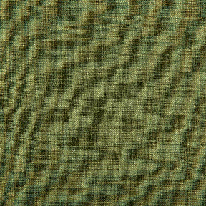 Kravet Design Aura Vine Fabric Sample 35520.13.0