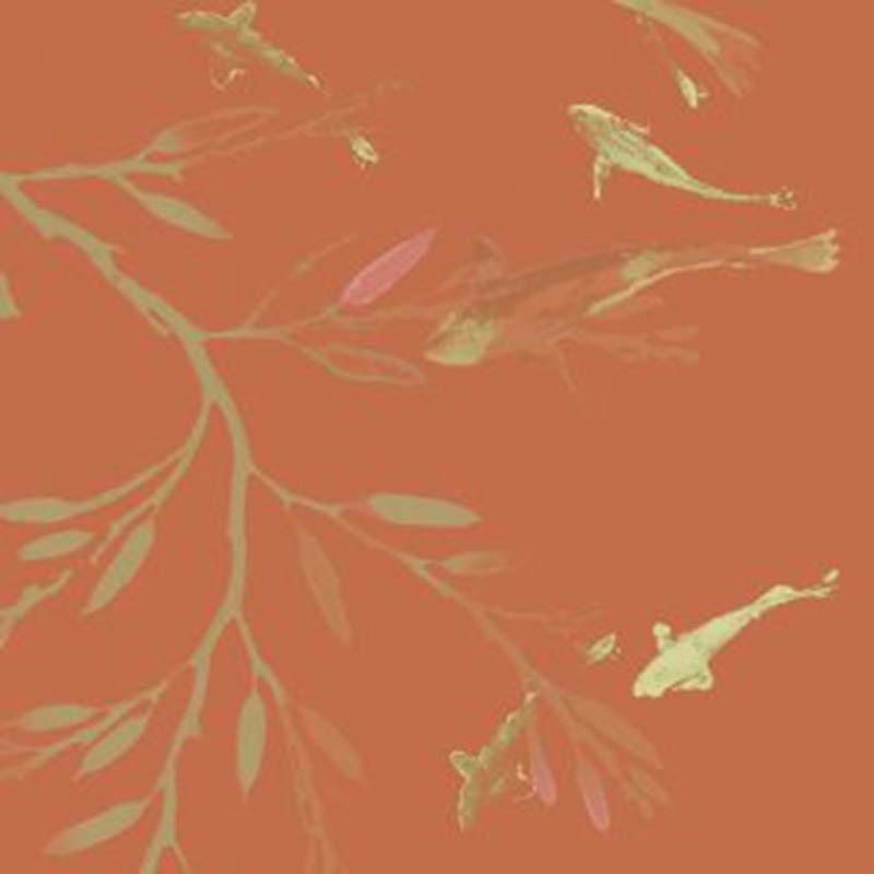 Galbraith & Paul Koi Pond Flame Wallpaper Sample