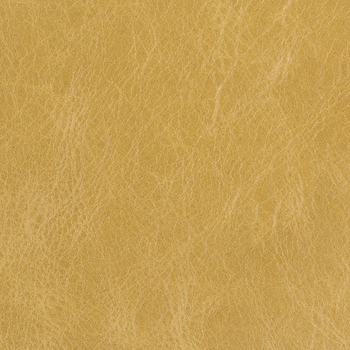 Kravet Basics L-Beaumont Sap Fabric Sample L-BEAUMONT.SAP.0