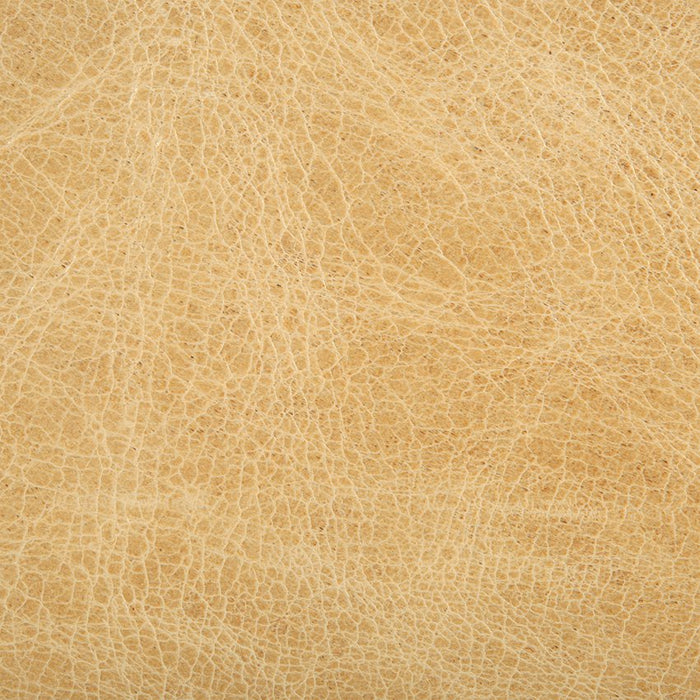 Kravet Couture L-Haute Blonde Fabric Sample L-HAUTE.BLONDE.0