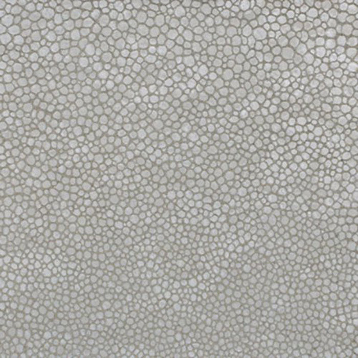 Kravet Couture L-Sinar Silver Fabric L-SINAR.SILVER.0