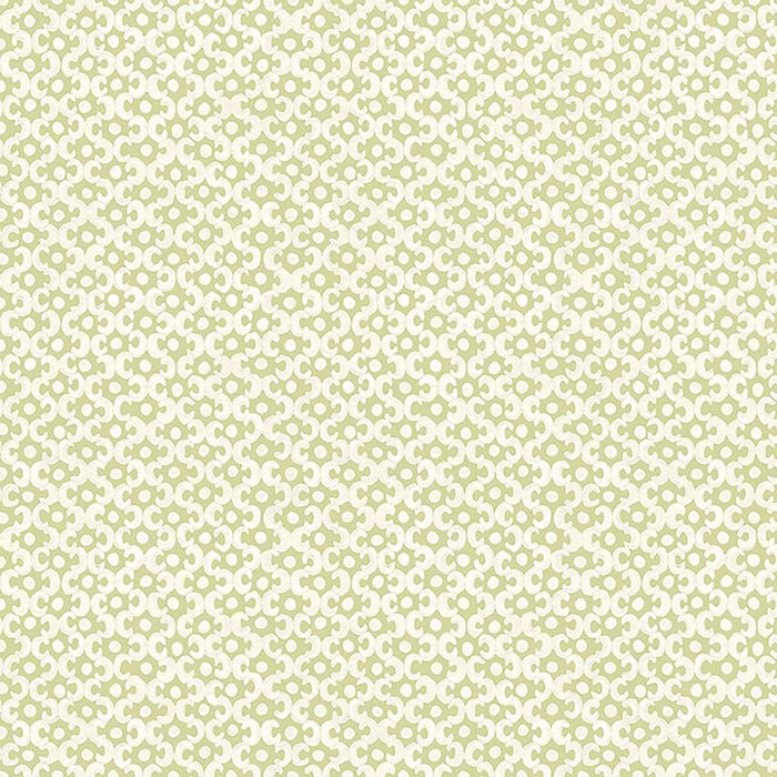 Galbraith & Paul Lattice Fennel Wallpaper Sample