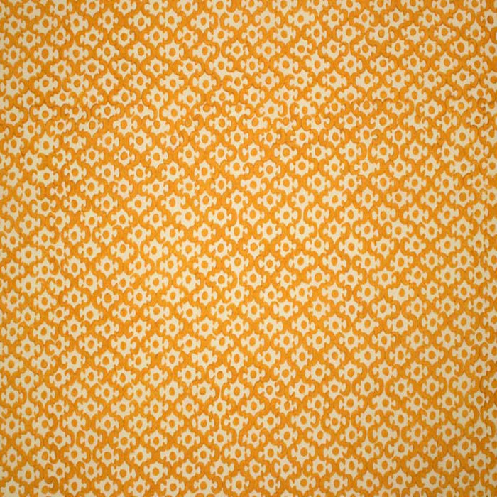 Galbraith & Paul Lattice Cantaloupe Wallpaper Sample