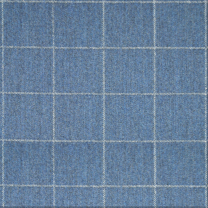 Gaston Y Daniela Rascafria Azul Fabric Sample LCT5459.004.0