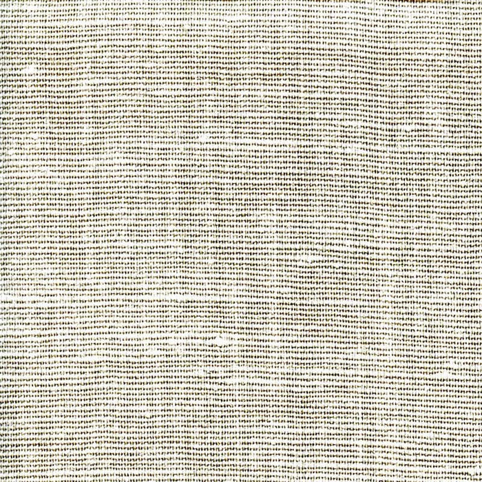 Ast Liege-297 Pewter Fabric Sample