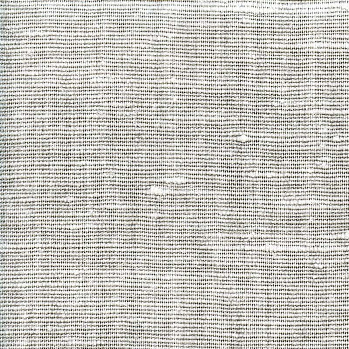 Ast Liege-297 Silver Fabric Sample