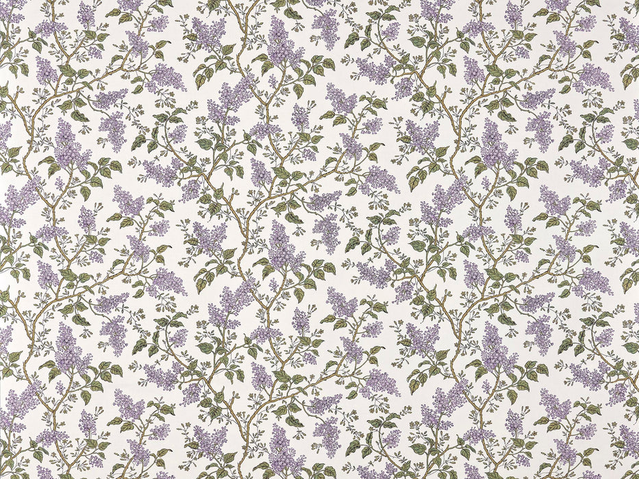 Braquenie Les Lilas Mauve Wallpaper Sample BP354002