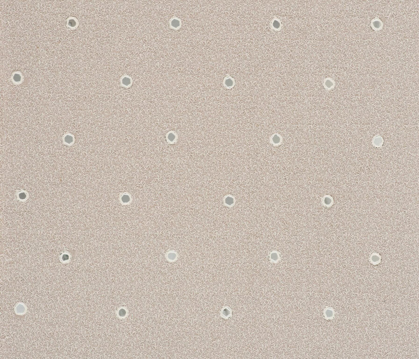 Pierre Frey Miroir Naturel Fabric Sample F2996001